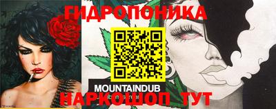 амф Жуковский