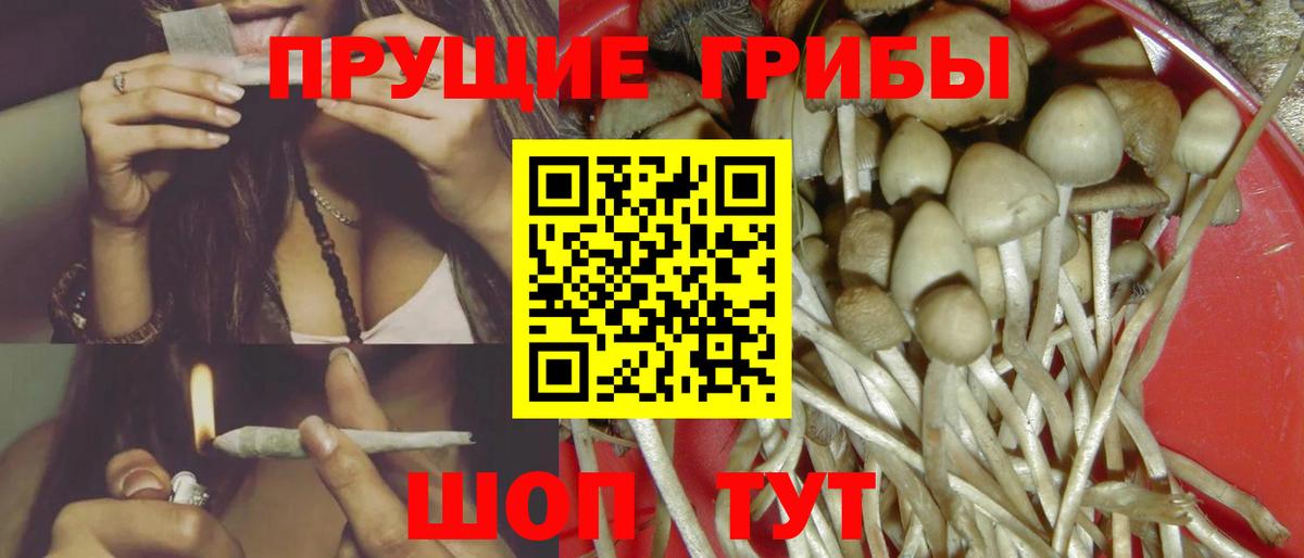 Галлюциногенные грибы GOLDEN TEACHER Кулебаки